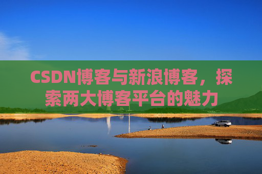 CSDN博客与新浪博客,探索两大博客平台的魅力